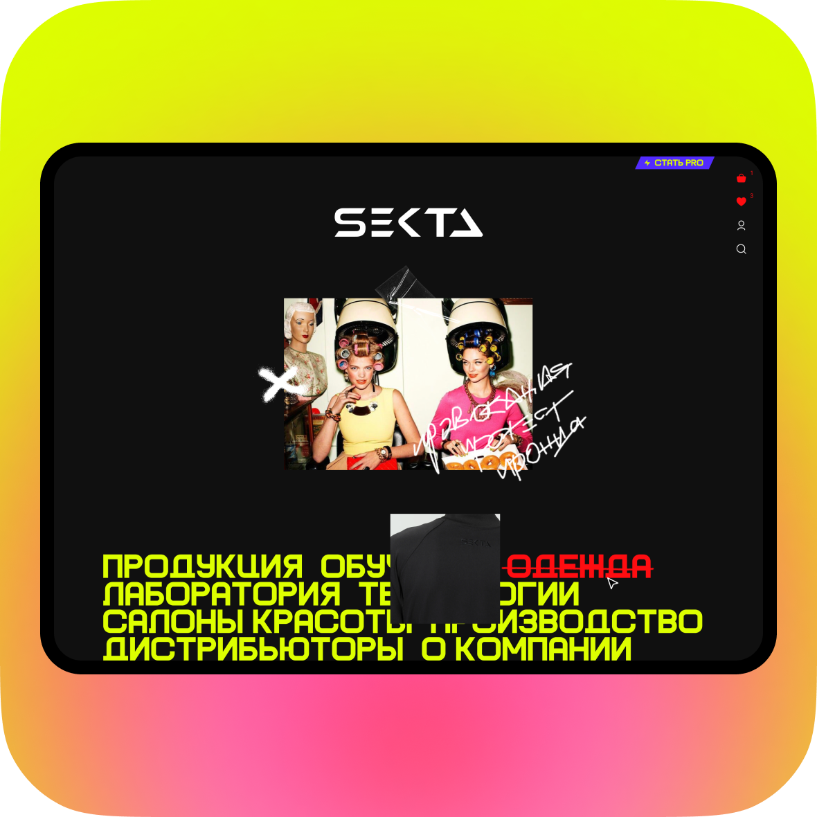Sekta cover
